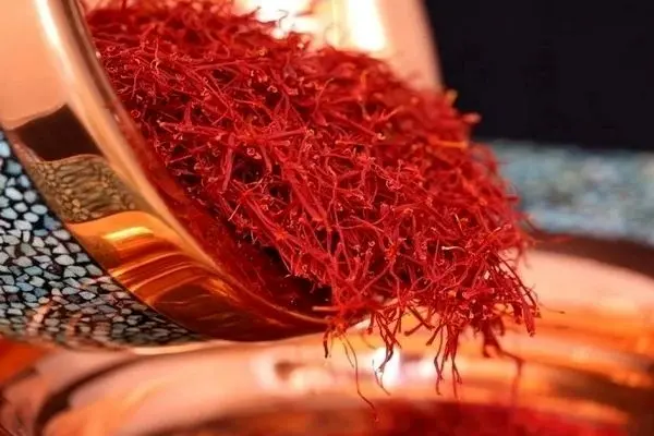 قاچاق ماهانه 10 تن زعفران به خارج از کشور