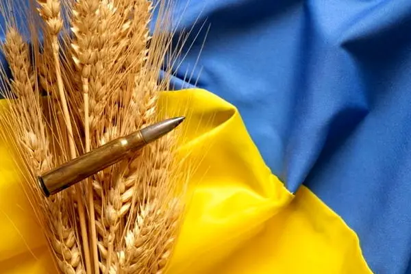 پیامدهای جنگ روسیه و اوکراین بر بازار کامودیتی‌ها