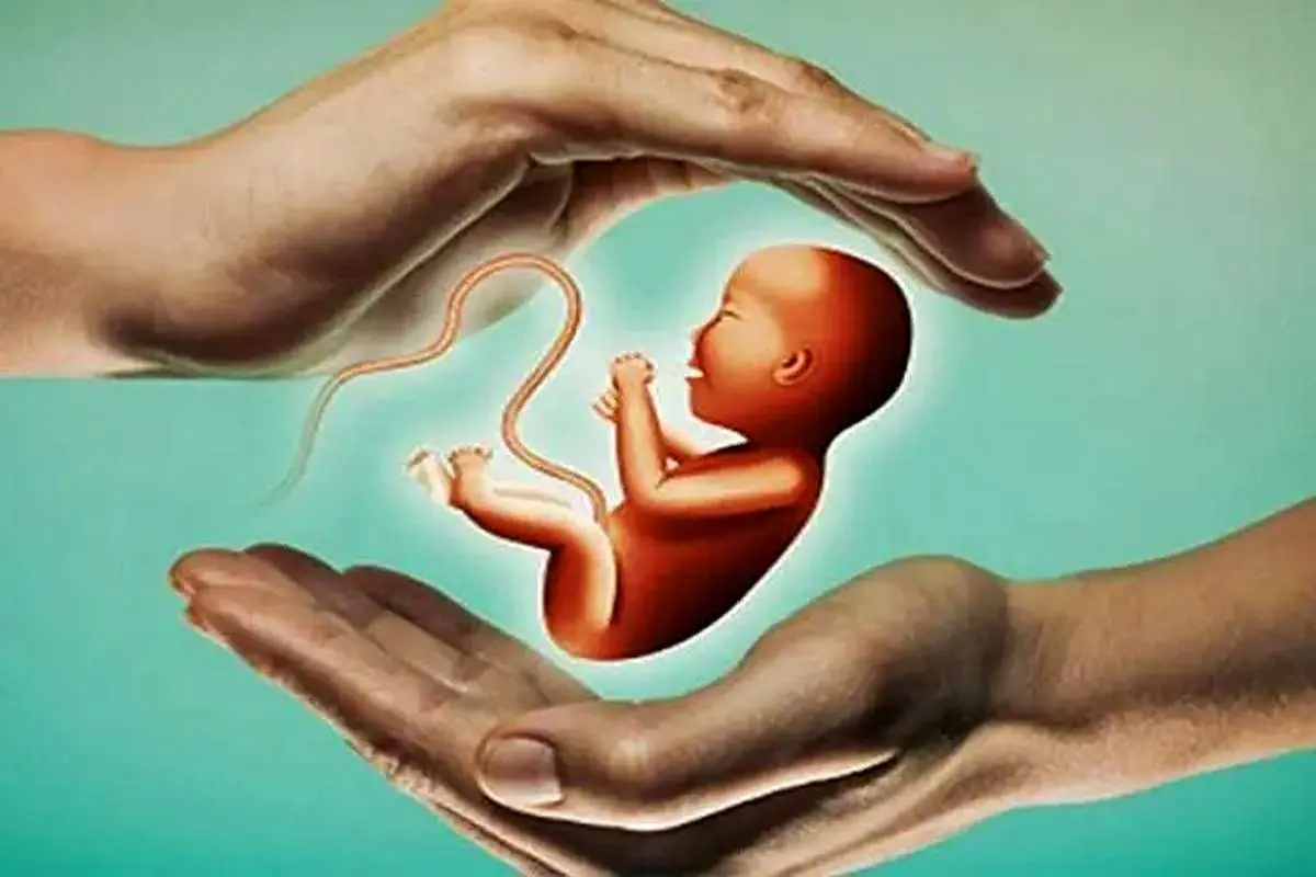 سقط جنین یا فرزندآوری؛ قانون جوانی جمعیت کدام را افزایش داد؟