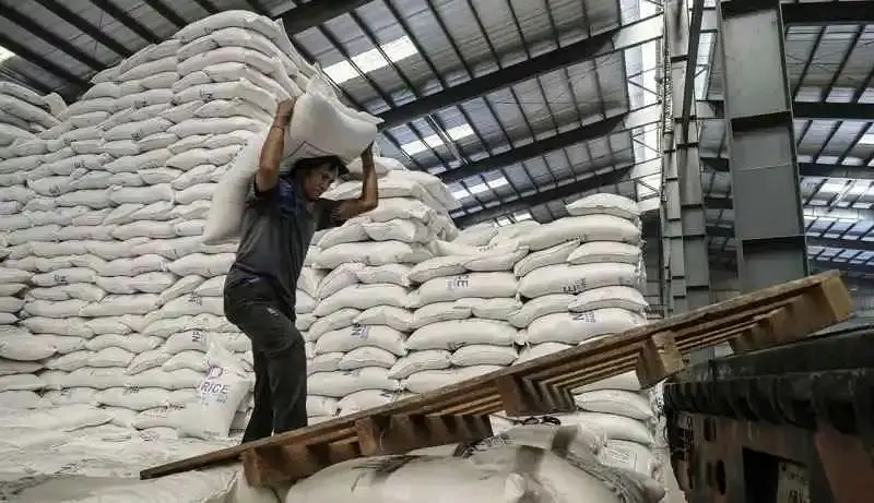 رکورد واردات برنج توسط دولت شکسته شد؟/ بخش خصوصی مسئول خرید برنج خارجی