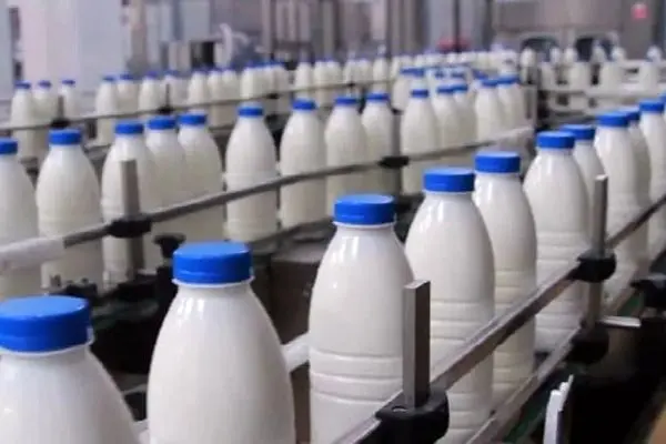 افزایش تولید شیر خام در صورت تامین به موقع نهاده دامی/ شیر گران می‌شود؟