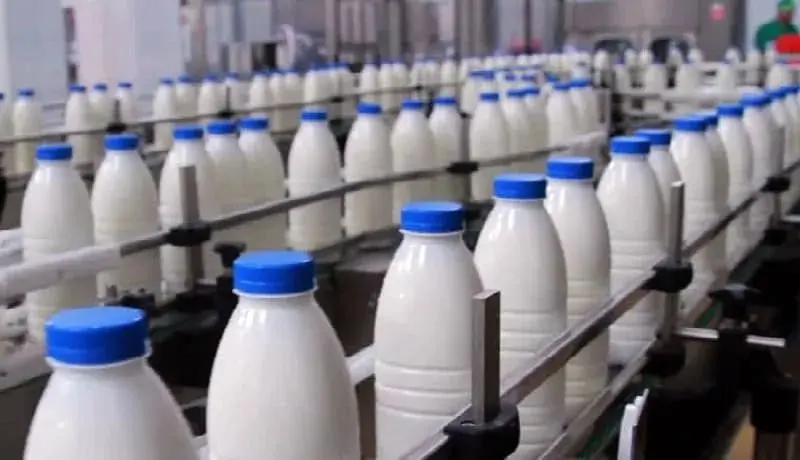 موافقت دولت با افزایش 25 درصدی قیمت شیرخام/ لبنیات چقدر گران می‌شود؟