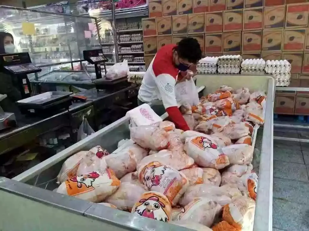 قیمت مرغ امروز 24 اردیبهشت 1402/ قیمت تخم مرغ افزایش یافت