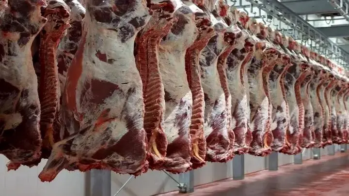 قیمت گوشت امروز 31 خرداد 1402