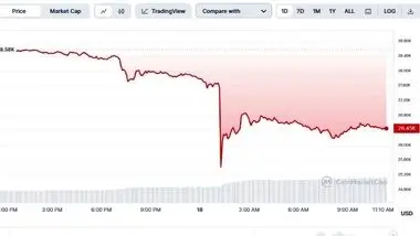 آیا شرکت اسپیس ایکس مقصر سقوط قیمت بیت کوین است؟