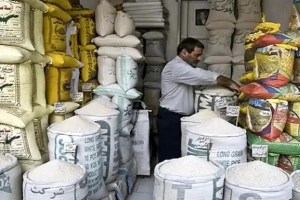 افزایش ۷۶ درصدی صادرات برنج پاکستان