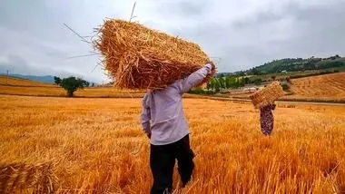 افزایش ۲۰ درصدی مستمری‌ سال ۱۴۰۲