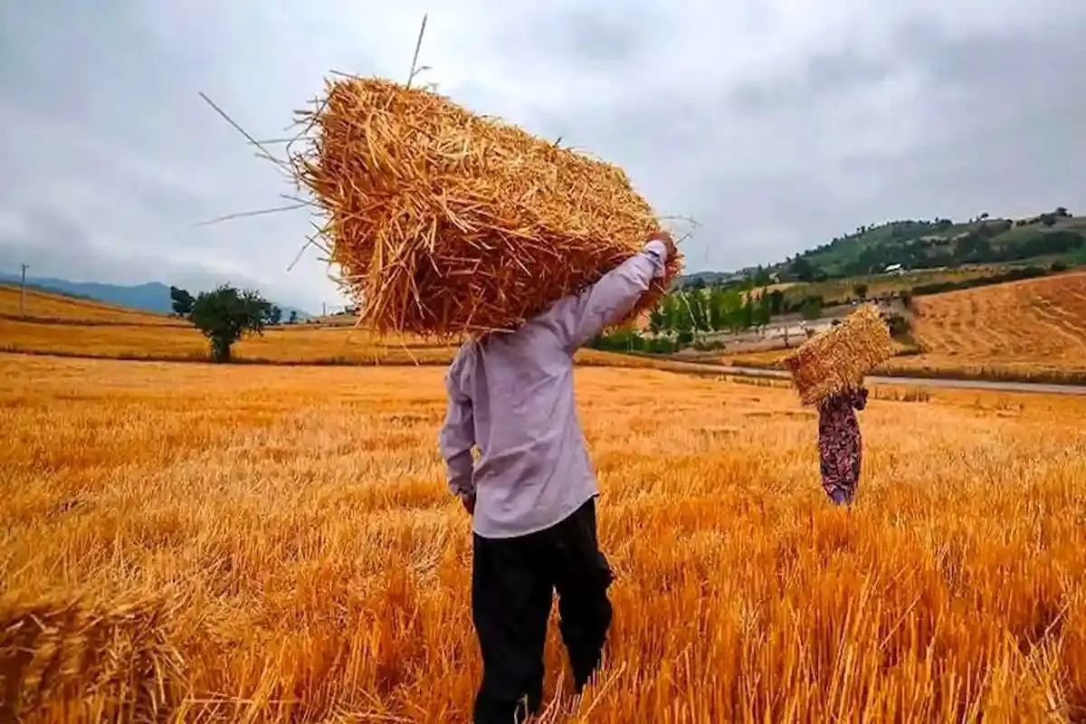 افزایش ۲۰ درصدی مستمری‌ سال ۱۴۰۲