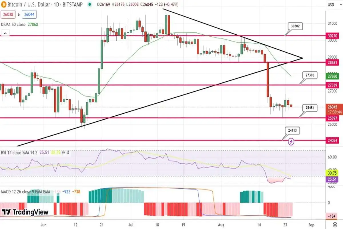 پیش بینی قیمت بیت کوین / افزایش اخبار مثبت پیرامون بیت کوین