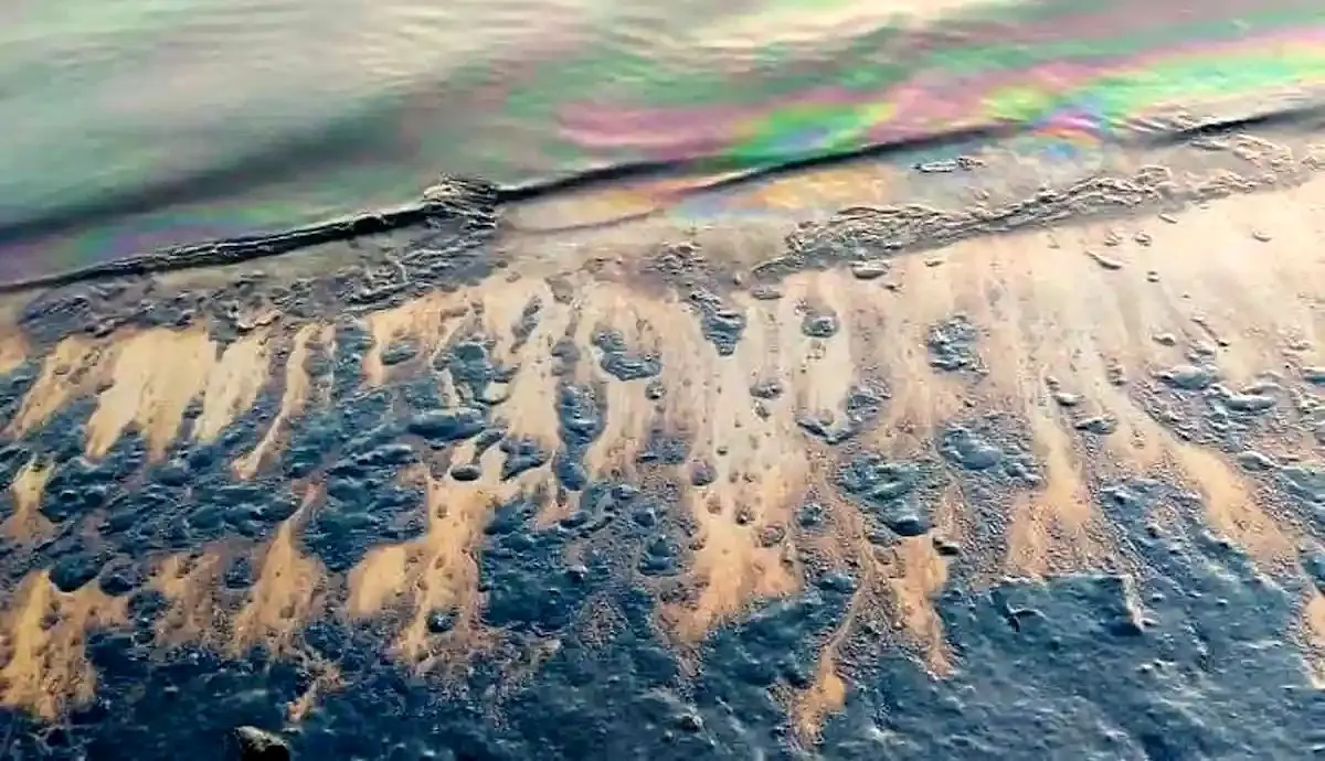 محدوده گناوه در حال پاکسازی از لکه‌های نفتی است