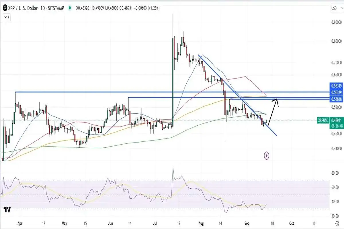 پیش بینی قیمت ریپل همزمان با افزایش ارزش بازاری USDC