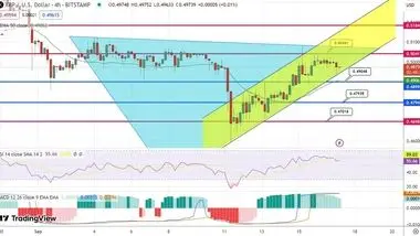 پیش بینی قیمت ریپل در نزدیکی سطح 0.50 دلار / چالش‌های پیش روی ریپل