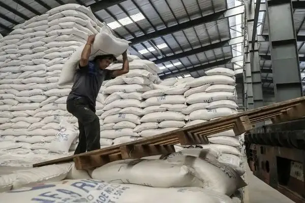 خبر واردات برنج صحت ندارد