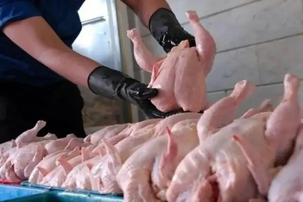 قیمت مرغ در بازار امروز چهارشنبه ۱۷ آبان