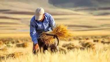 پرونده پرداخت مطالبات گندمکاران بسته شد