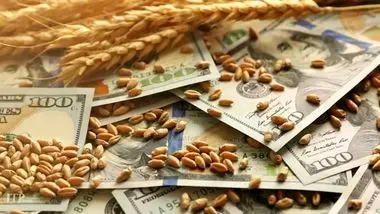 کاهش قیمت کالاهای اساسی کشاورزی در بازارهای جهانی/ خوراک دام و گندم ارزان شد