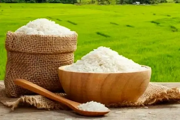 قیمت برنج کاهش یافت