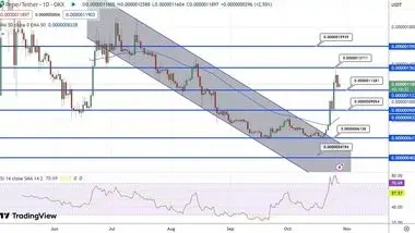 پیش بینی قیمت پپه / میم کوین‌ها رالی صعودی را ادامه می‌دهند؟