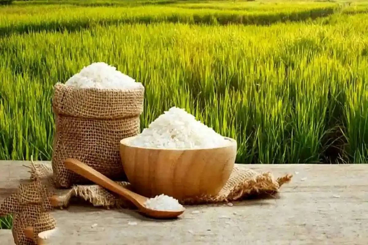 امکان خرید برنج در بورس کالا / حداقل مقدار تحویل فیزیکی چقدر است؟
