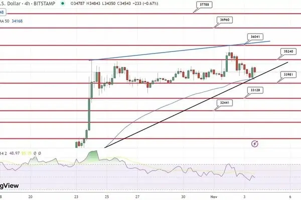 پیش بینی قیمت بیت کوین / بازار ارز دیجیتال از مرز ۷۰۰ میلیارد دلار گذشت