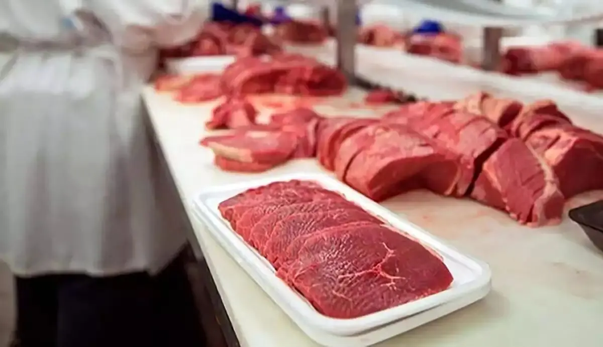 کاهش قیمت گوشت با افزایش واردات