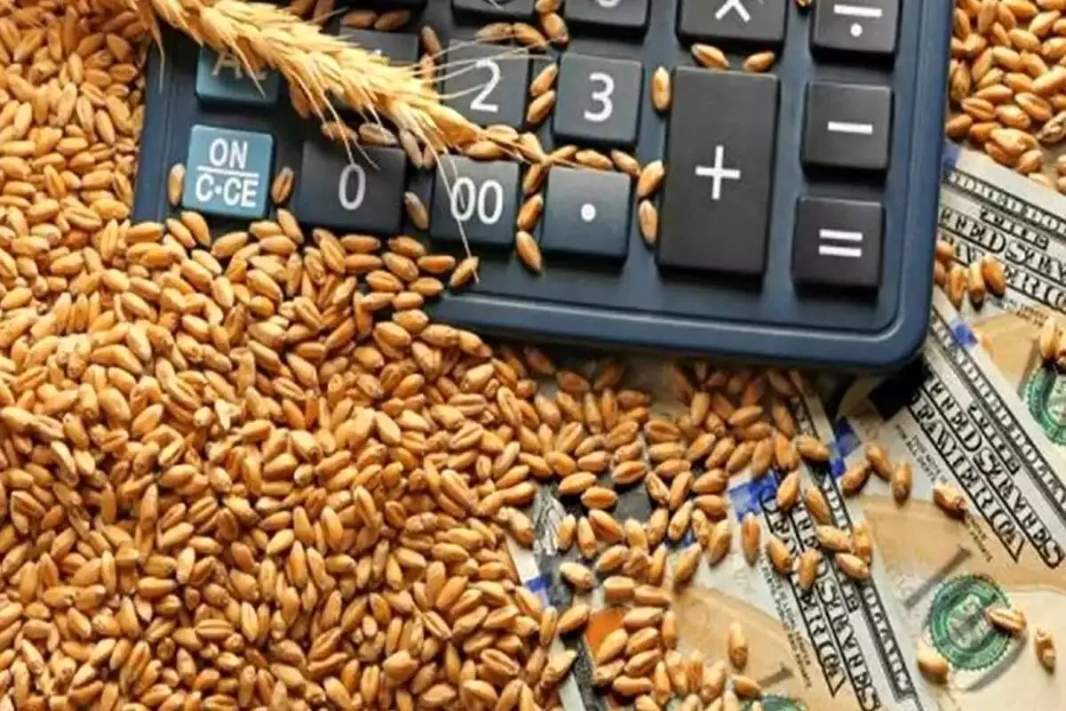 کاهش نرخ جهانی گندم