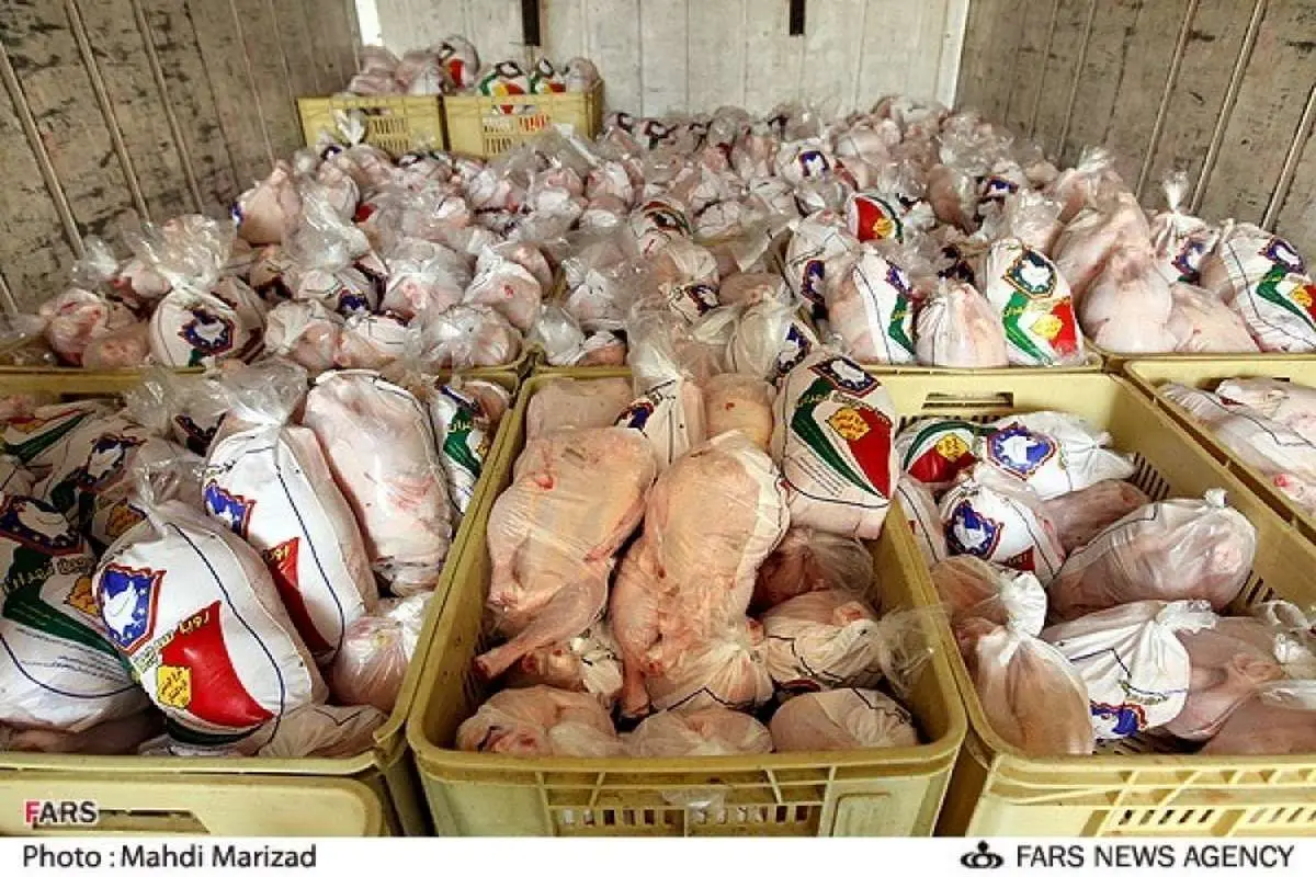 توزیع گسترده مرغ دولتی برای شکستن قیمت
