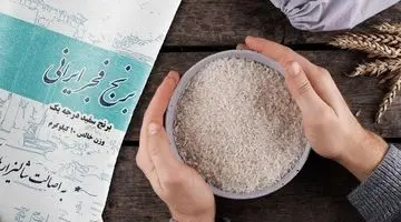 بهترین زمان برای خرید برنج ایرانی عمده چه زمانی است؟ برنج عمده از کجا بخریم؟