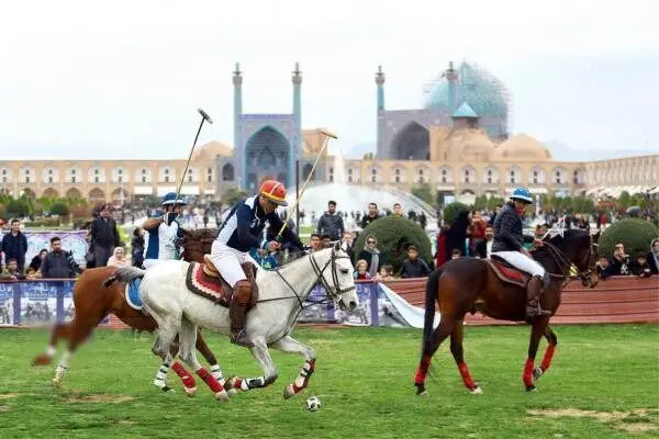 چوگان رشته المپیکی نیست