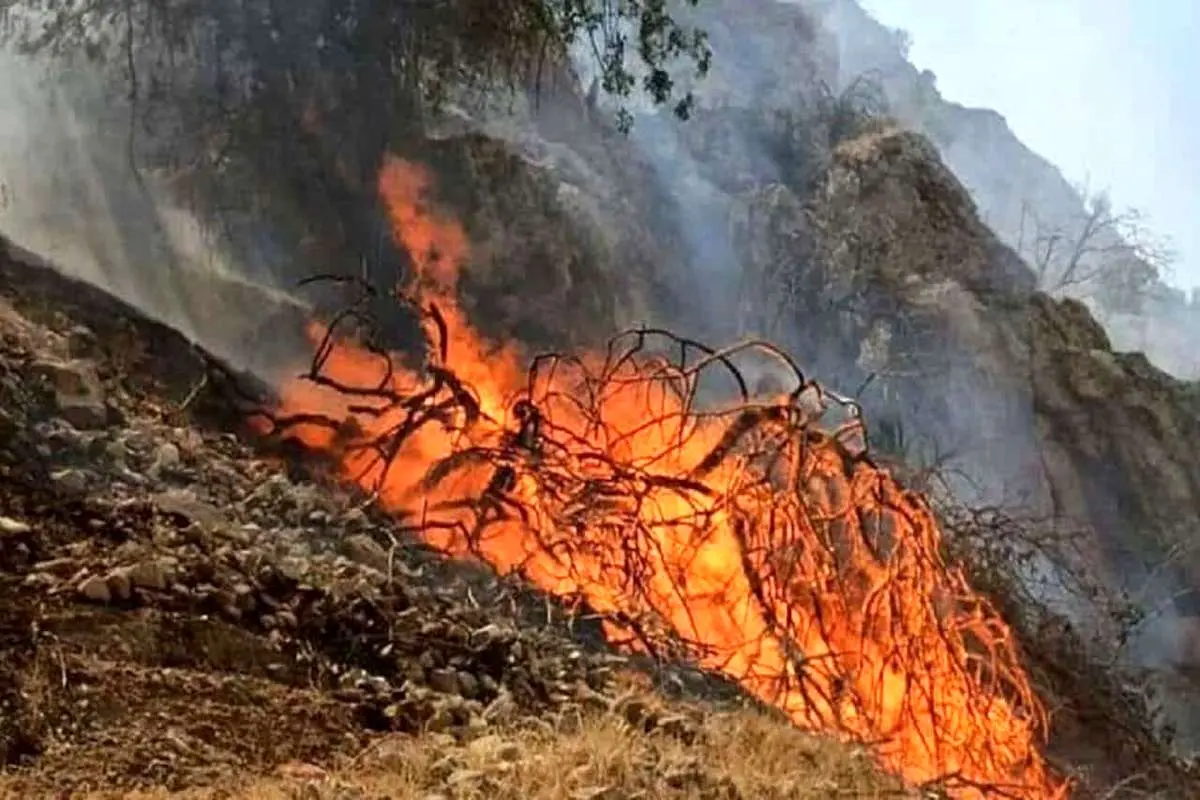 آتش سوزی گسترده جنگل های دزفول/حریق مهار شد؟