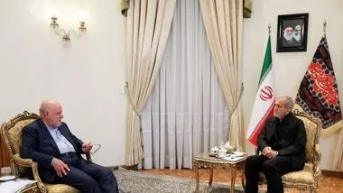 وزیر اسبق نفت با رئیس جمهور منتخب دیدار کرد