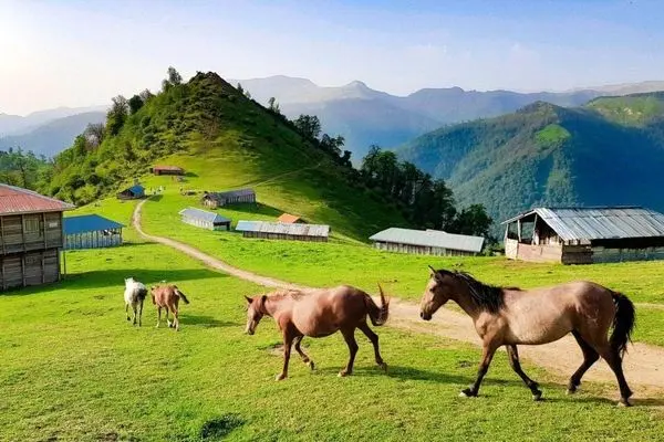 قیمت تور تنگه واشی شهریور 1403/ گردشگاهی مناسب برای تعطیلات یک روزه