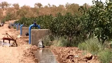 نارضایتی خرماکاران و پسته کاران کرمانی در پی قطع برق