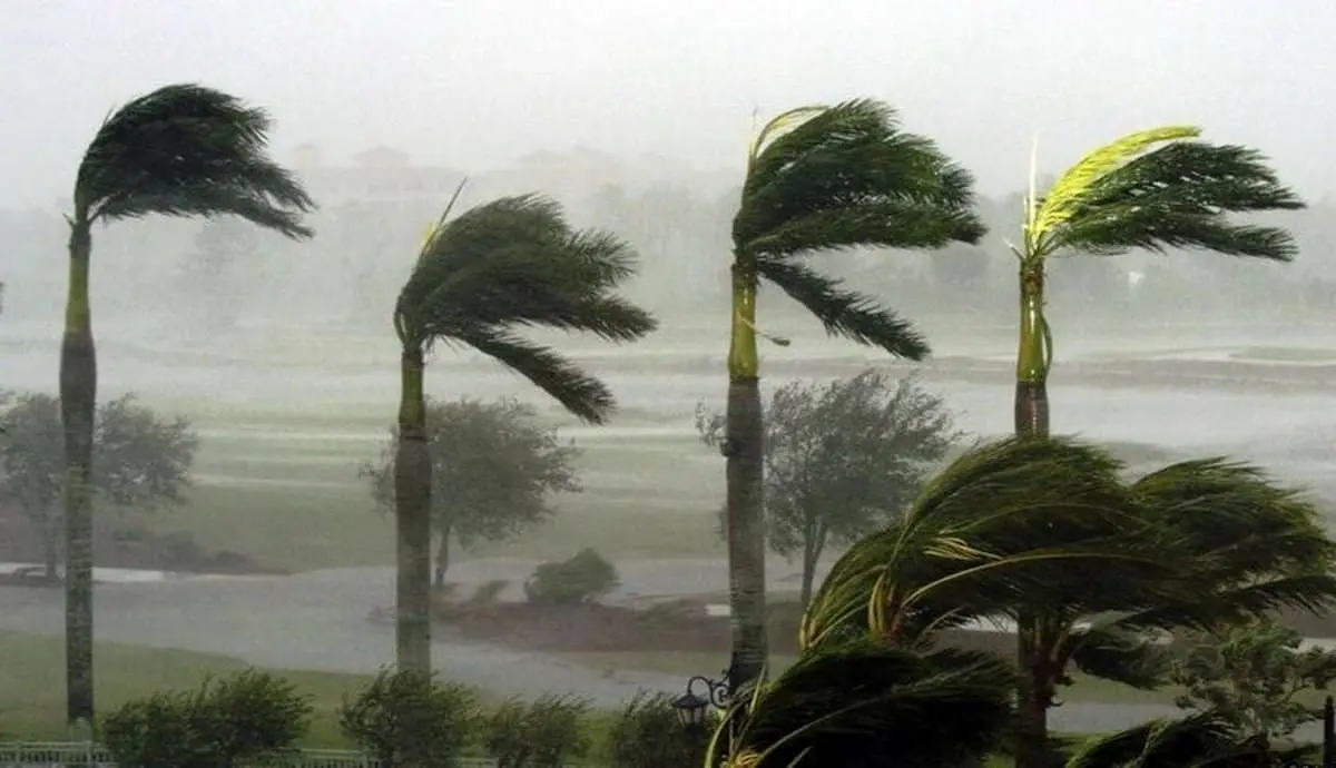 سازمان هواشناسی هشدار داد؛ وزش باد شدید و خسارت به محصولات کشاورزی 