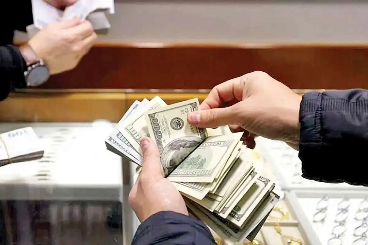 قیمت دلار امروز 7 خرداد 1403 / دلار در منطقه امن منجمد شد