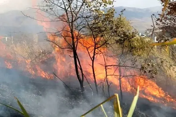 ۲۶ هکتار از مراتع غرب و جنوب اصفهان در آتش سوخت