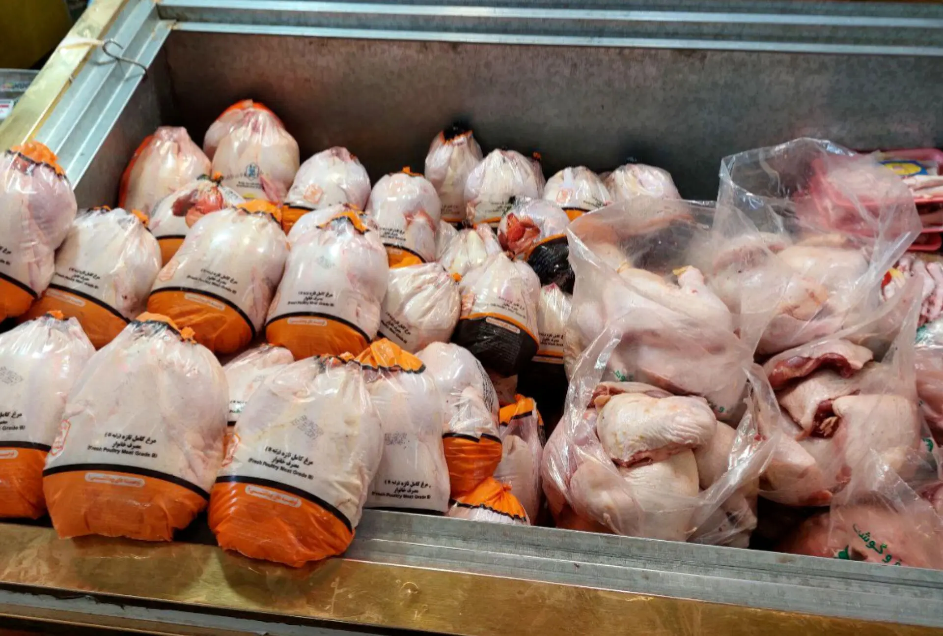  نخستین محموله صادراتی مرغ به عراق رفت