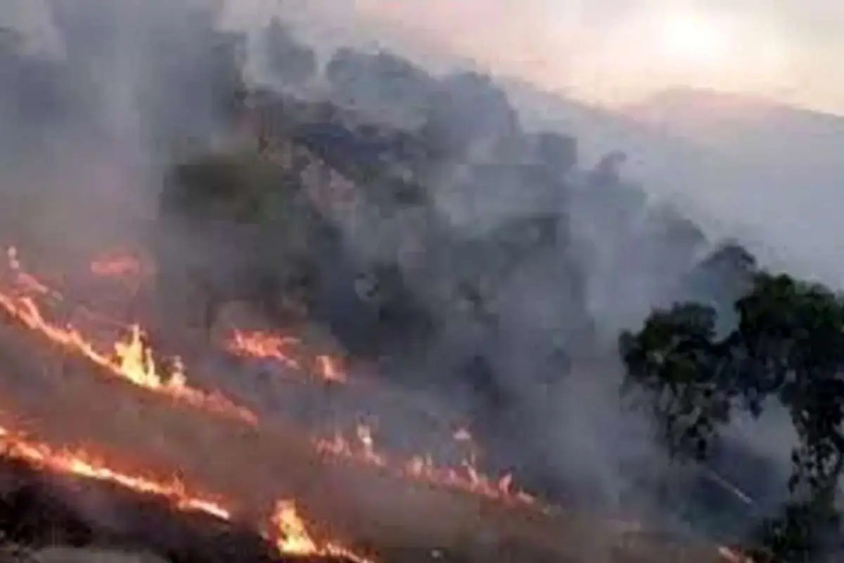 کوه کچل وجنگل های کفراور گیلانغرب در آتش می سوزند