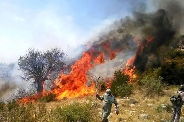 وقوع و مهار آتش‌سوزی در جنگل‌های آمل
