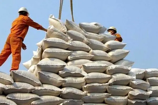 نهایت ظرفیت صادرات برنج ما ۵ هزار تن است
