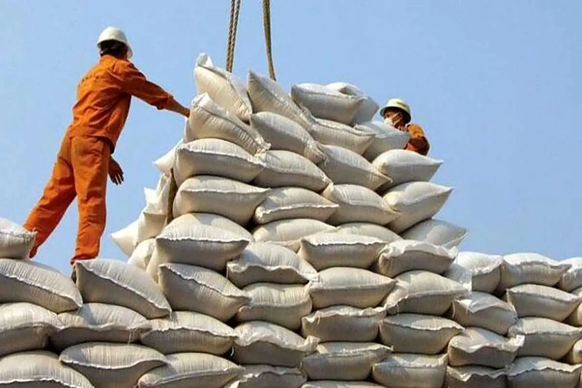 نهایت ظرفیت صادرات برنج ما ۵ هزار تن است