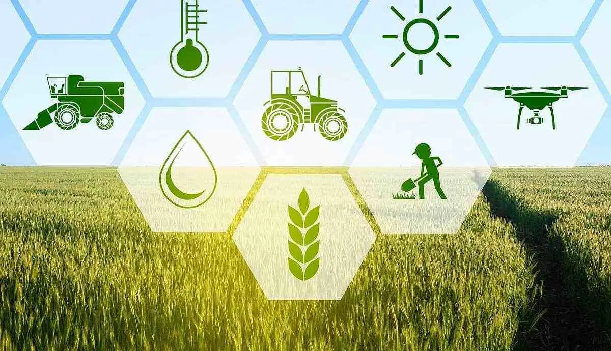 انقلاب در کشاورزی با استفاده از NFTهای کاربردی/ عصر جدیدی برای کشاورزان و مصرف‌کنندگان