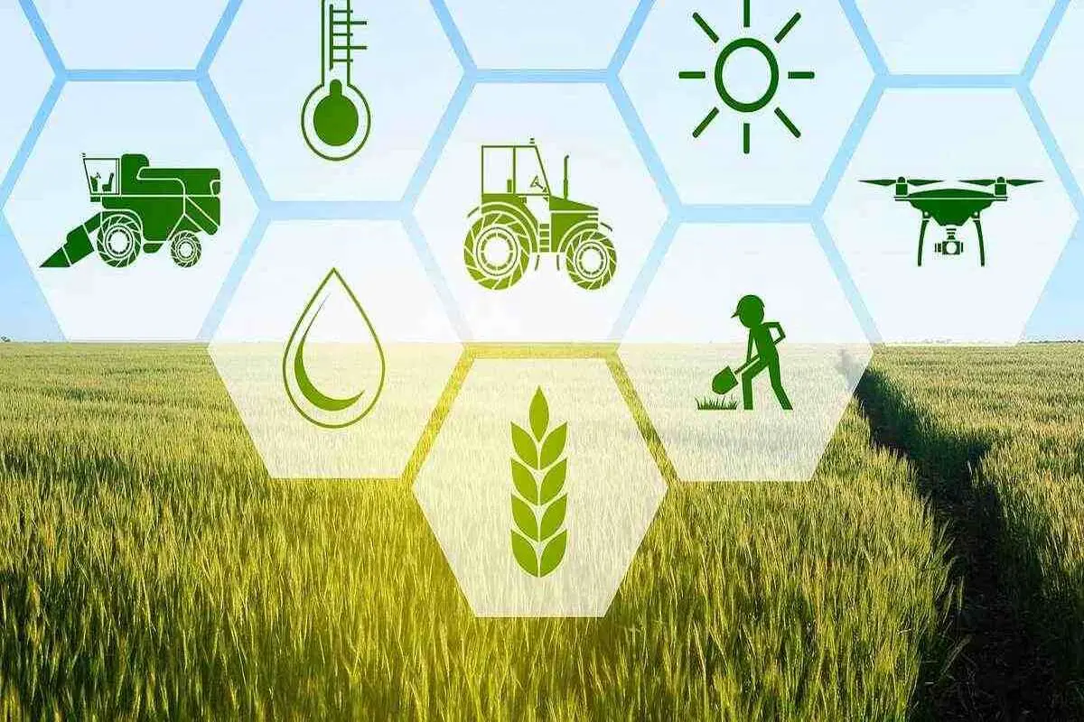 انقلاب در کشاورزی با استفاده از NFTهای کاربردی/ عصر جدیدی برای کشاورزان و مصرف‌کنندگان