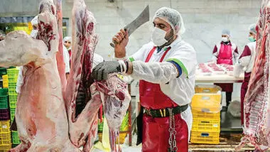 قیمت گوشت قرمز، امروز 27 تیر 1403/ توزیع روزانه گوشت گرم به 300 تن افزایش یافت