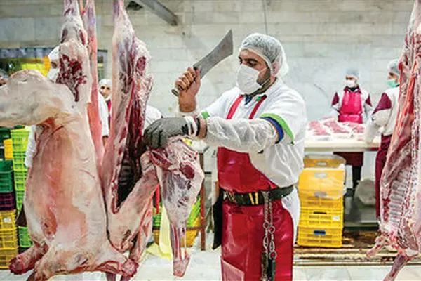  قیمت انواع گوشت قرمز 10 مرداد 1403/ افزایش 3.3 درصدی قیمت گوشت گوسفندی در ماه جاری + جدول