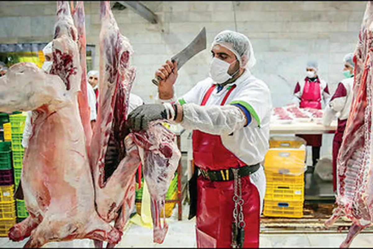 قیمت گوشت قرمز، امروز 27 تیر 1403/ توزیع روزانه گوشت گرم به 300 تن افزایش یافت