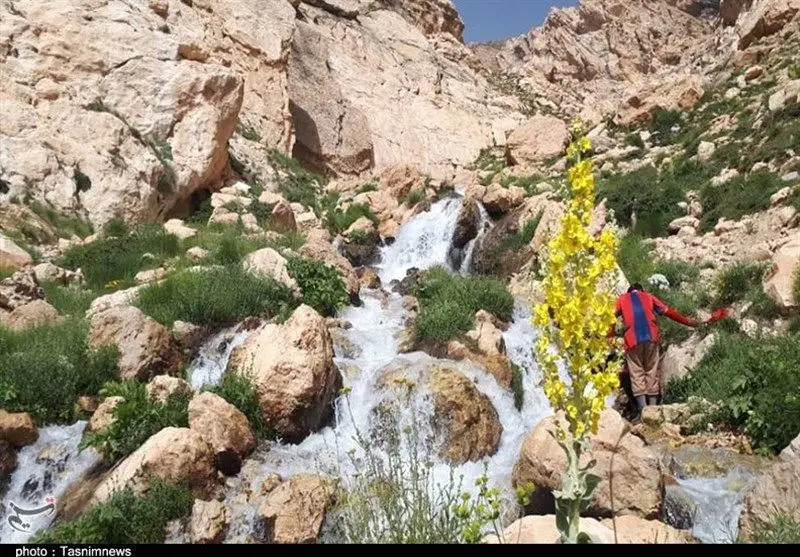 محیط‌ زیست خواستار توقف آنی ساخت سد ماندگان شد