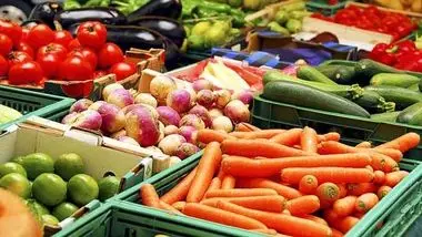 رشد ۲۳ درصدی صادرات محصولات غذایی و کشاورزی در ۱۱ ماهه امسال
