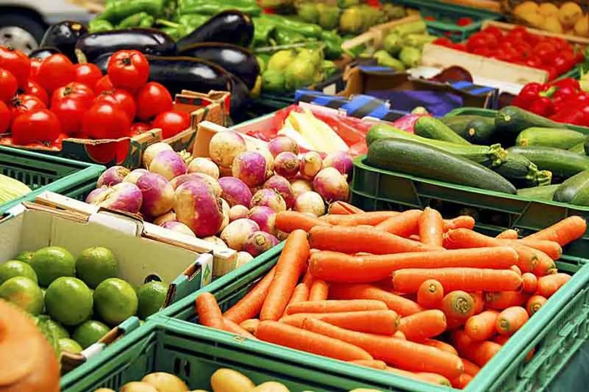 رشد ۲۳ درصدی صادرات محصولات غذایی و کشاورزی در ۱۱ ماهه امسال