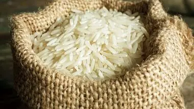 فسادی در بحث برنج اتفاق نیفتاده است